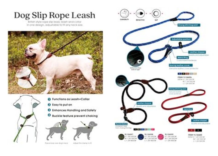 What age can a puppy walk on a leash?