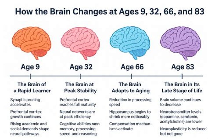 What age does your mind slow down?