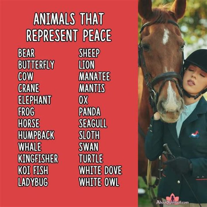 What animal represents Ketu?
