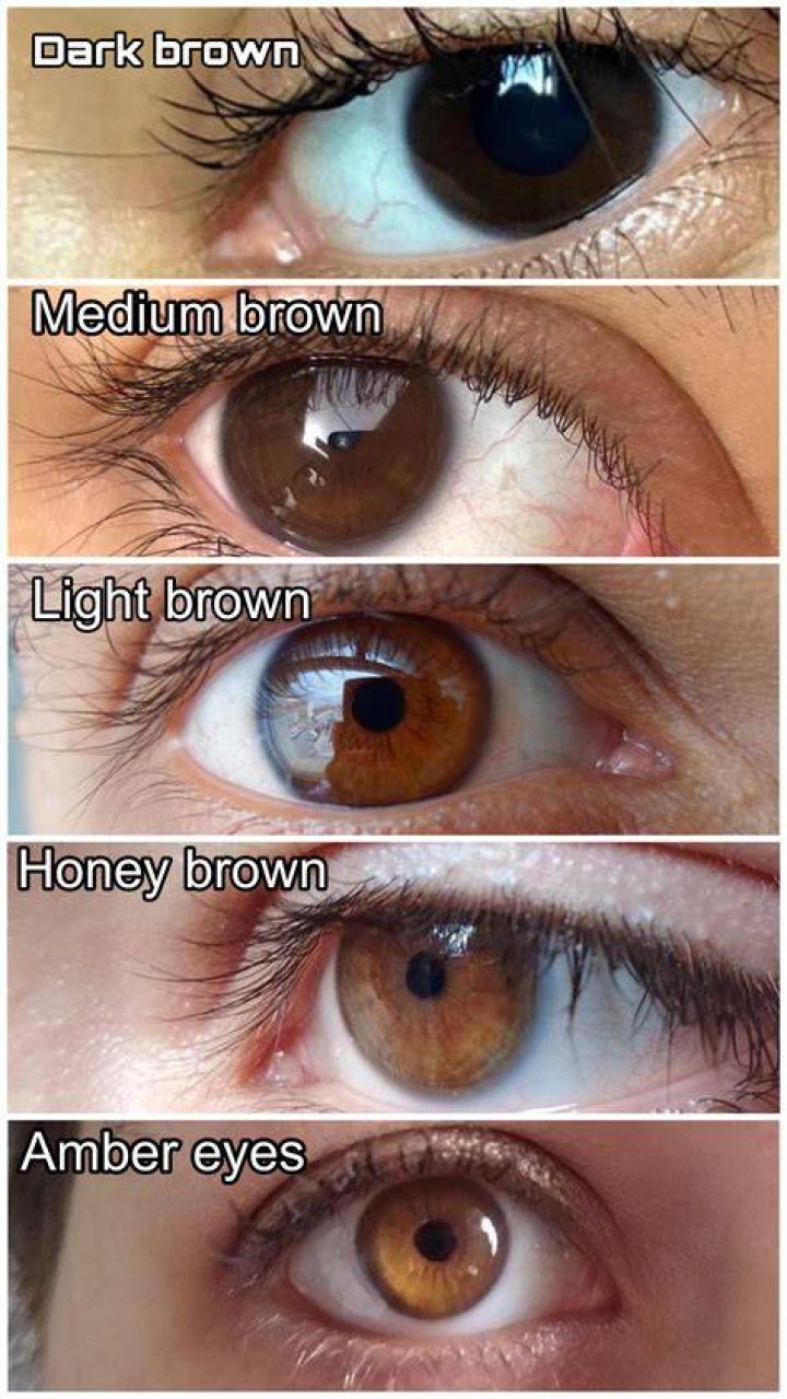 What are brown eyes sensitive to?