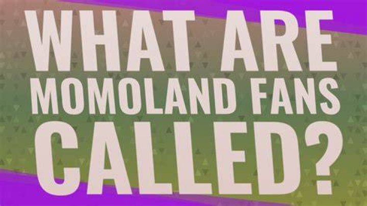 What are Momoland fans called?