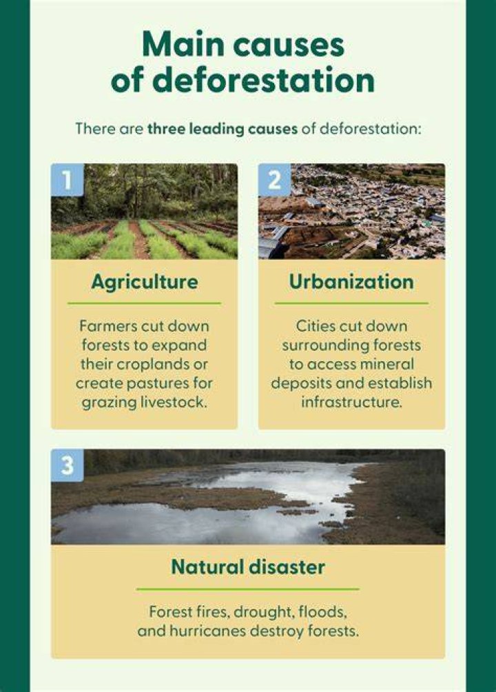 What are the 3 causes of oil consumption?