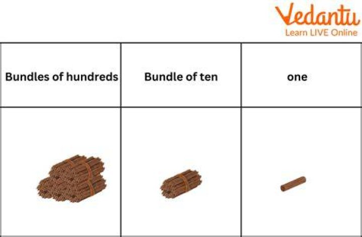 What are the 46 bundles of DNA called?