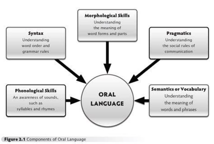 What are the 5 components of oral language?