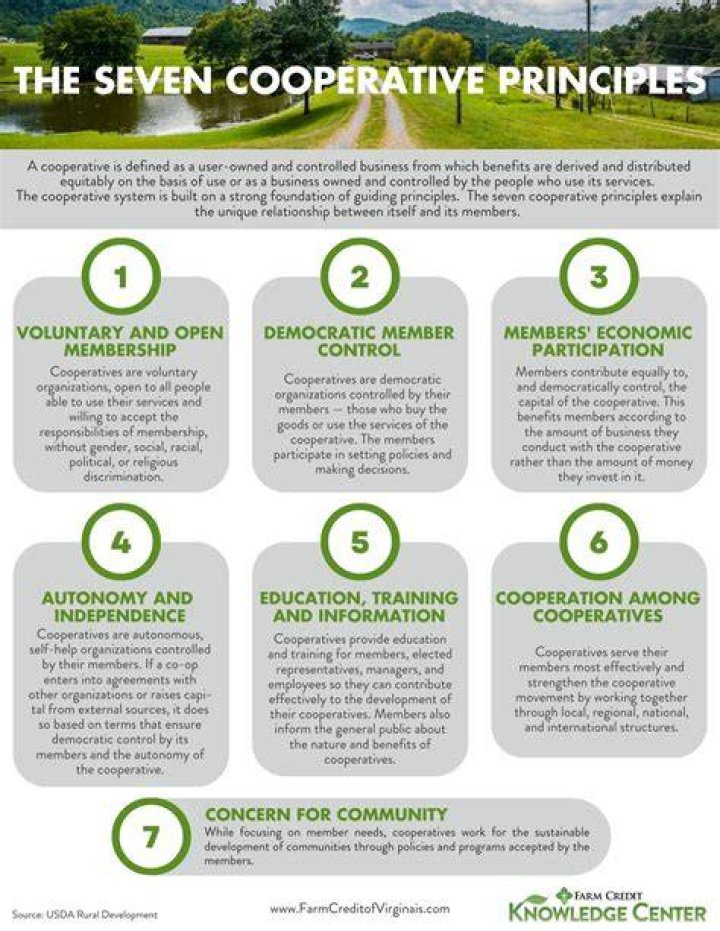 What are the 7 principles of Army?