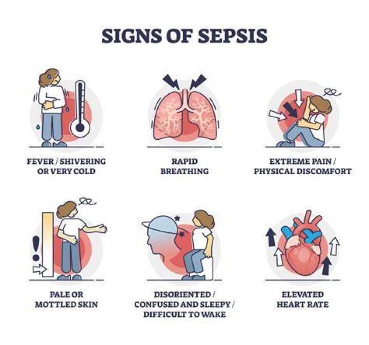 What are the first symptoms of septicemia?