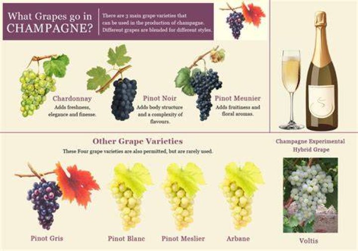 What are the grapes in the prisoner wine?