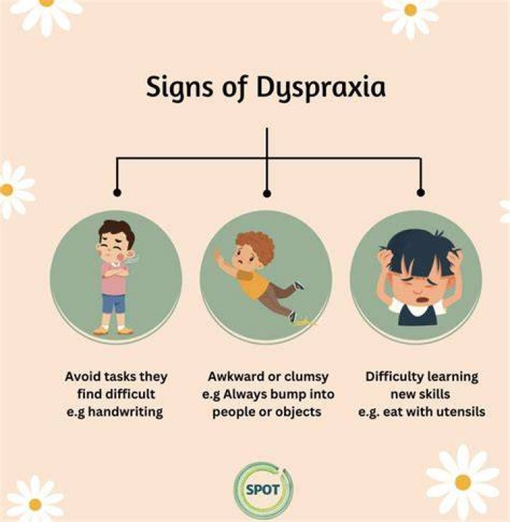 What are the three components of dyspraxia?