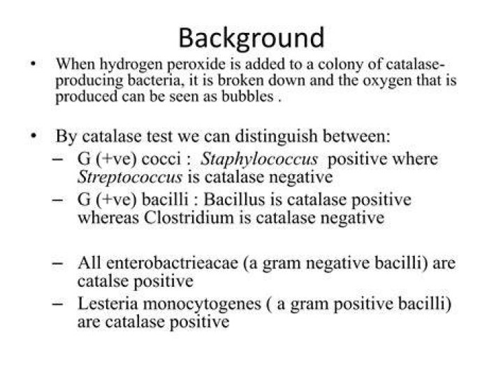 What bacteria is negative catalase?