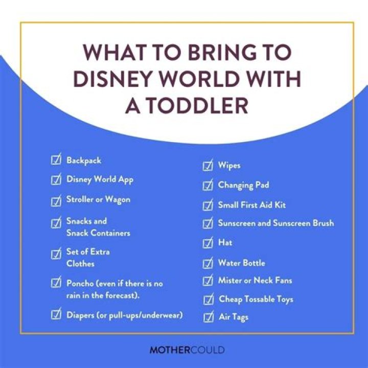 What can't you bring to Disney World?