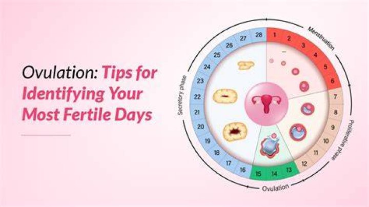 What day of ovulation is best to conceive?