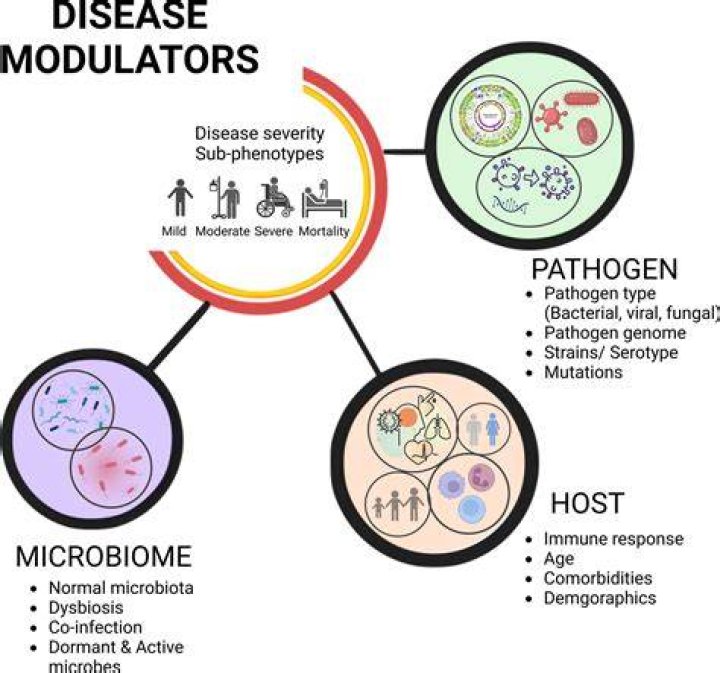 What diseases are caused by biofilm?