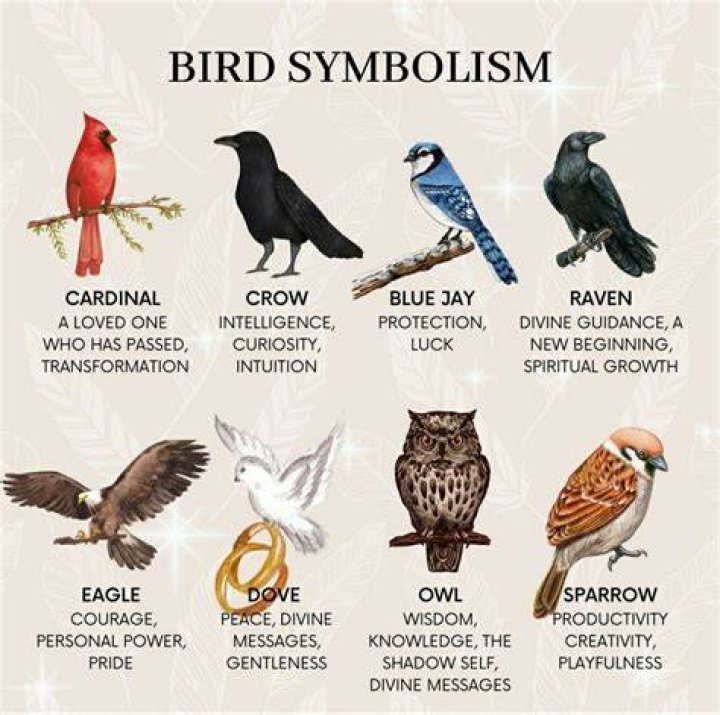 What do birds symbolize in One Flew Over the Cuckoo's Nest?