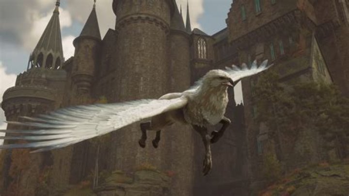 What do Hippogriffs eat?