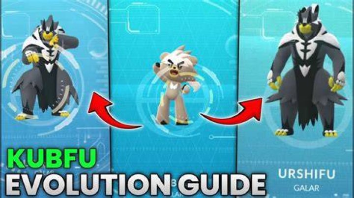 What do I do after I evolve Kubfu?