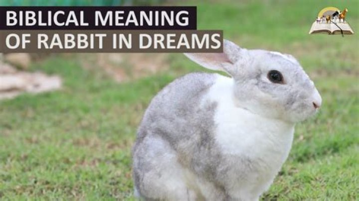 What do rabbits symbolize in the Bible?