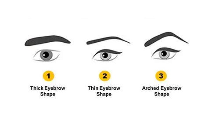 What do thick eyebrows mean?