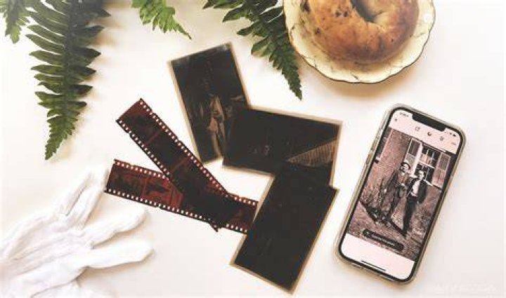 What do you do with old pictures and negatives?