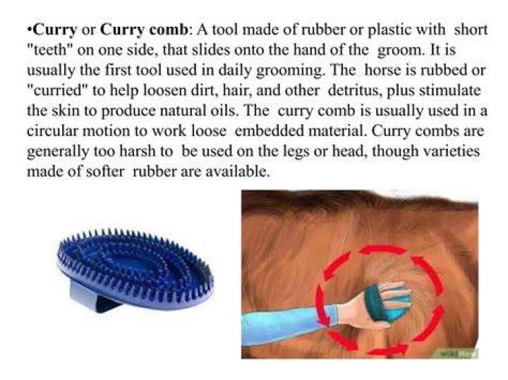 What does a curry comb do?