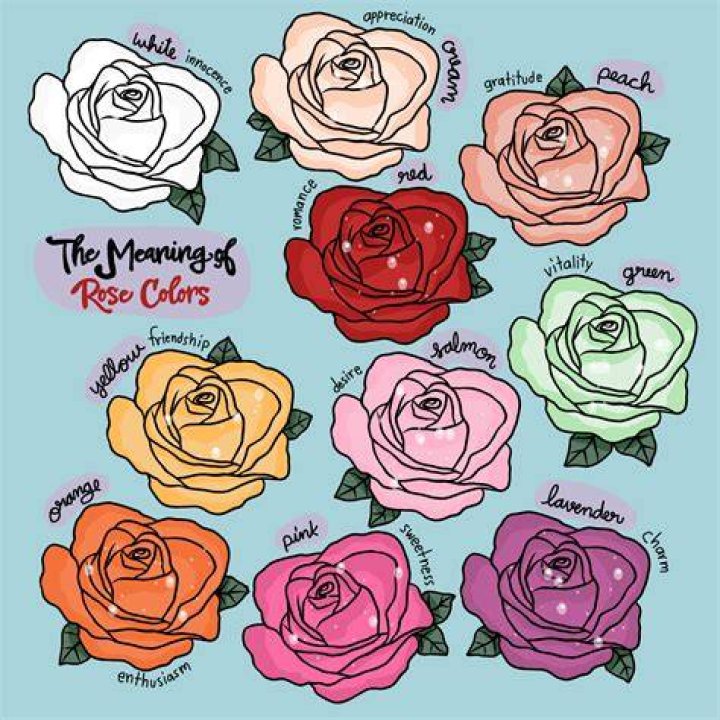 What does a lavender rose mean?