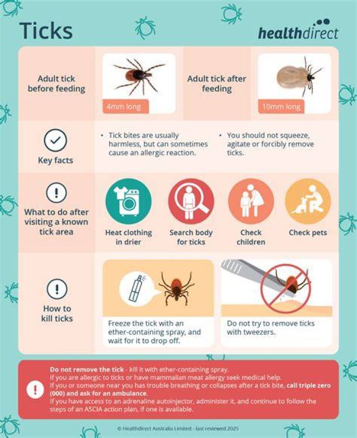 What does a tick bite look like when you first get bit?