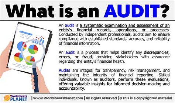 What does audit fee mean?