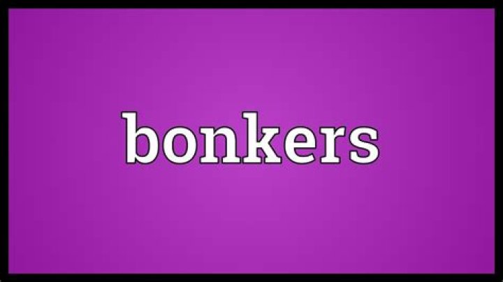 What does bonkers mean in slang?