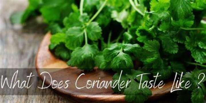 What does coriander taste like?