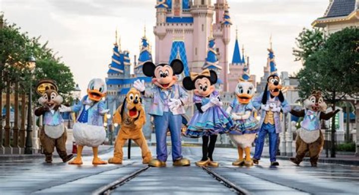What does Disney dad mean?