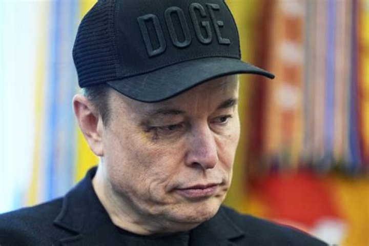 What does Elon plan to do with Dogecoin?