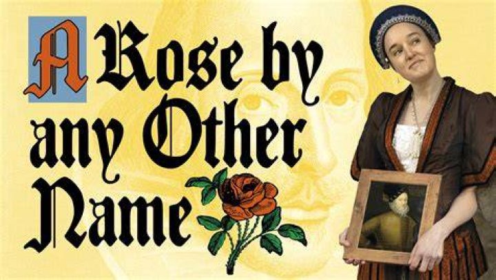What does it mean a rose by any other name is still a rose?