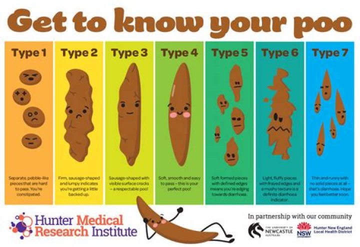 What does it mean if your poop stinks?