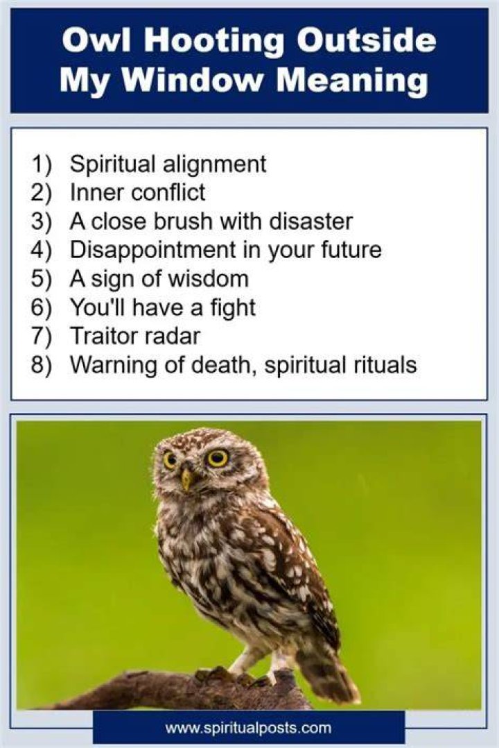 What does it mean when an owl is outside your window?