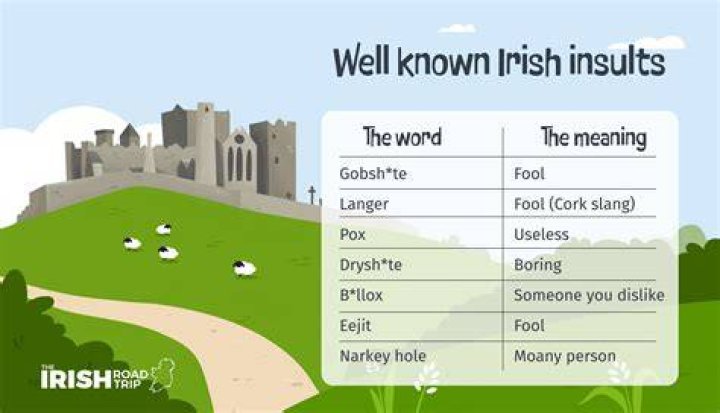 What does mayo mean in Irish?