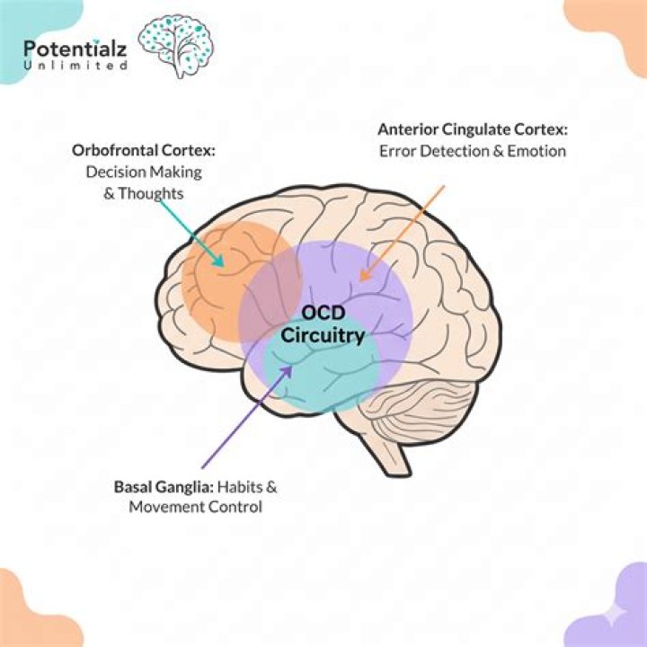 What does OCD look like in a teenager?
