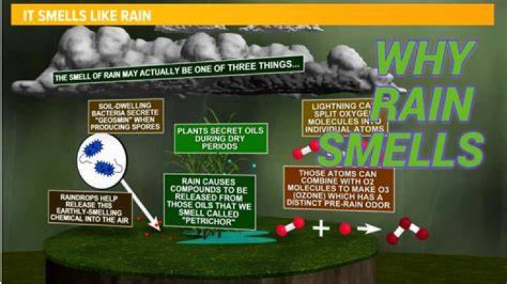 What does rain mean in the Matrix?