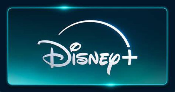 What does rated l mean on Disney plus?