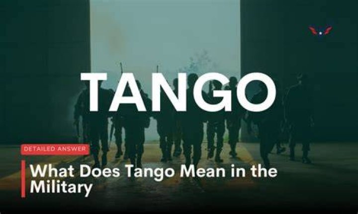 What does Tango Mike mean?