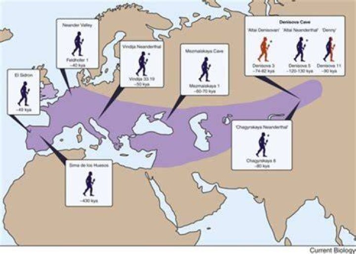 What ethnic group has the most Neanderthal DNA?