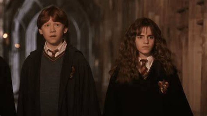 What form did Hermione's Boggart take?