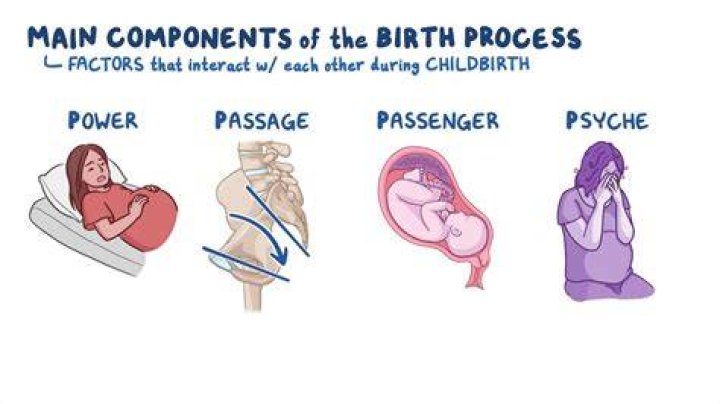 What gas is used during childbirth?