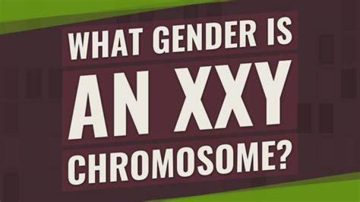 What gender is an XXY chromosome?