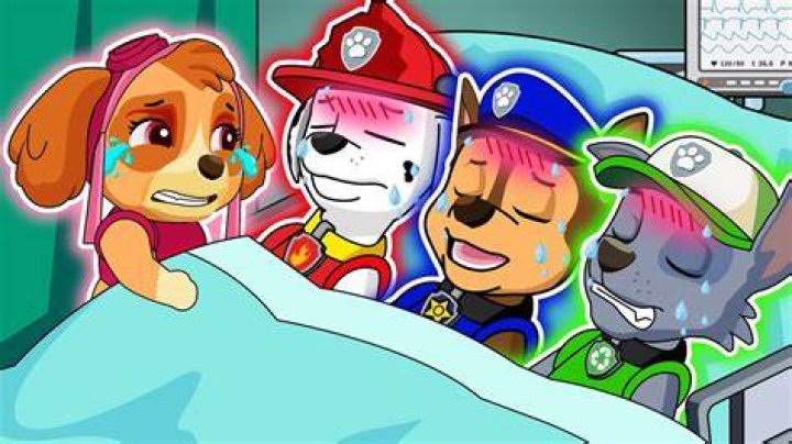 What happened to Ryder's parents on PAW Patrol?