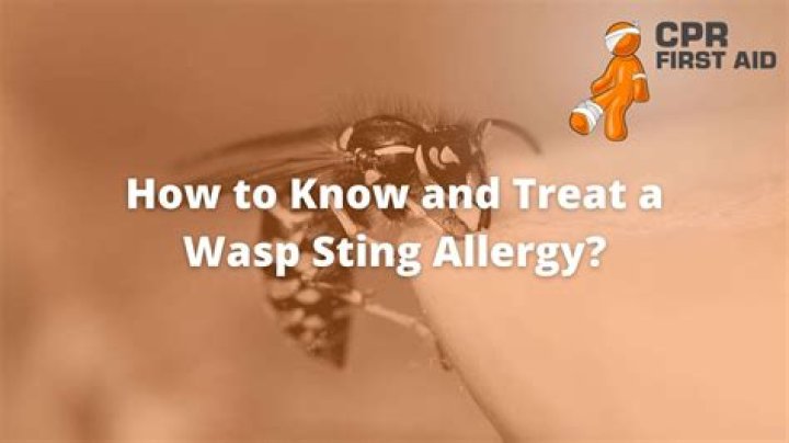 What happens after a wasp sting?