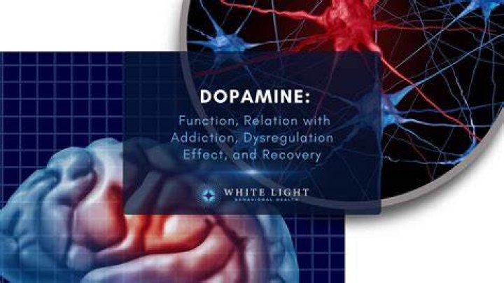 What happens if dopamine is blocked?