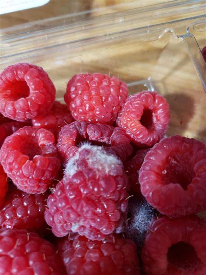 What happens if you eat moldy raspberries?