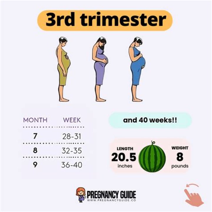 What happens in first trimester with twins?