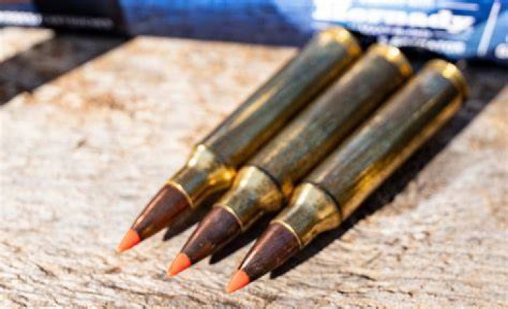 What is a black tip bullet?