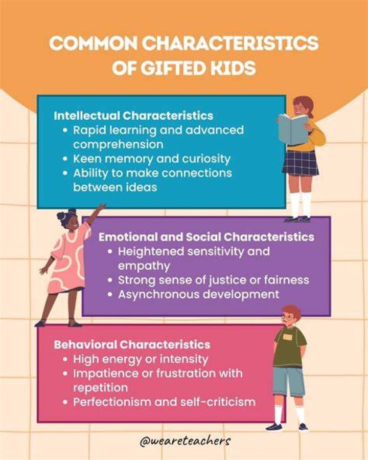 What is a burnout gifted child?