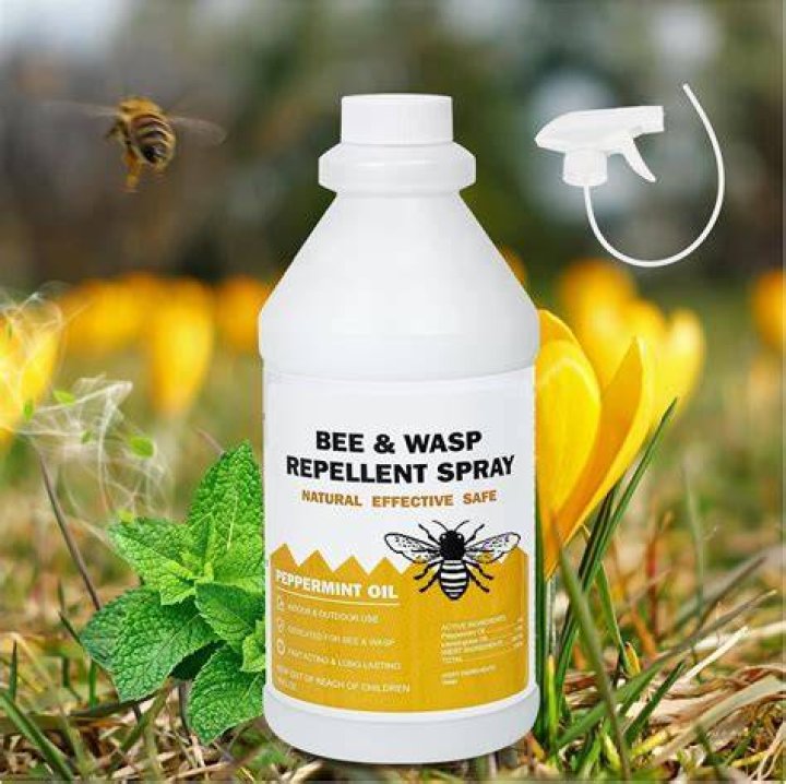 What is a natural repellent for wasps?